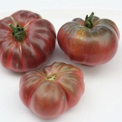 Tomate Purple Calabash ©GrainesdelPaïs