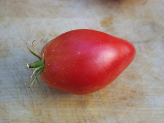 Tomate Cœur-de-Bœuf - Sweet Heart à petits fruits ©GrainesdelPaïs