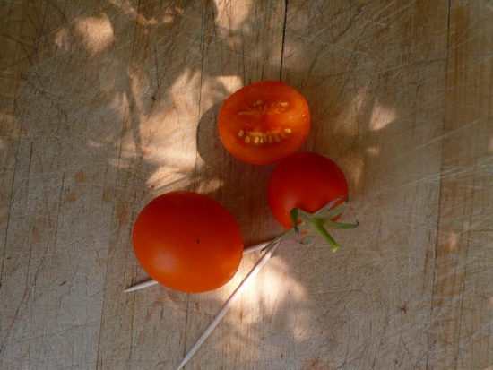 Tomate Orange flammée ©GrainesdelPaïs