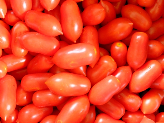 Tomate cerise - Michela ©GrainesdelPaïs