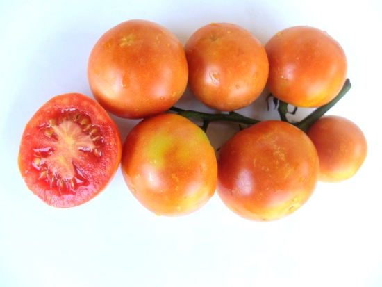 Tomate à suspendre - Inverno ©GrainesdelPaïs