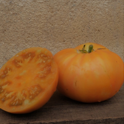 Tomate Ispolin jaune flammée rouge ©GrainesdelPaïs