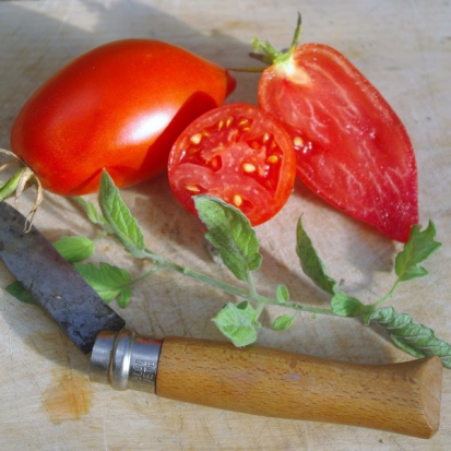 Tomate Bargemont  ©GrainesdelPaïs