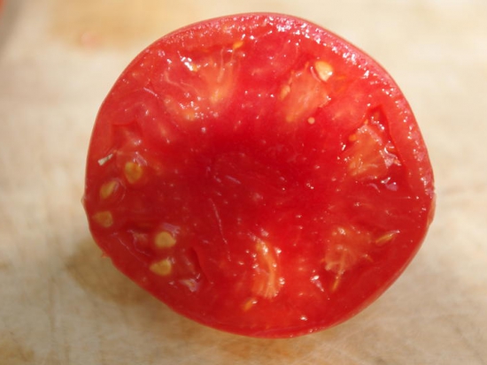 Tomate Bargemont  ©GrainesdelPaïs