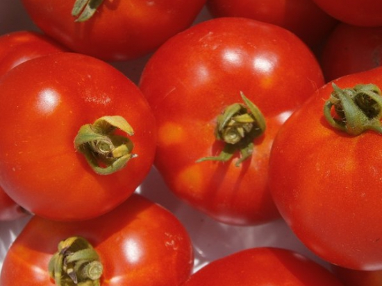 Tomate Marmande ©GrainesdelPaïs