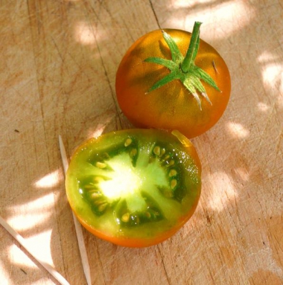 Tomate Lime green ©GrainesdelPaïs