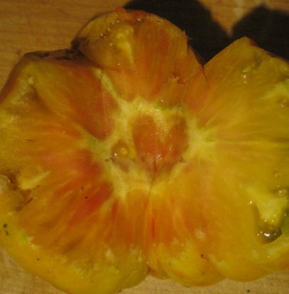 Tomate Ananas  ©GrainesdelPaïs