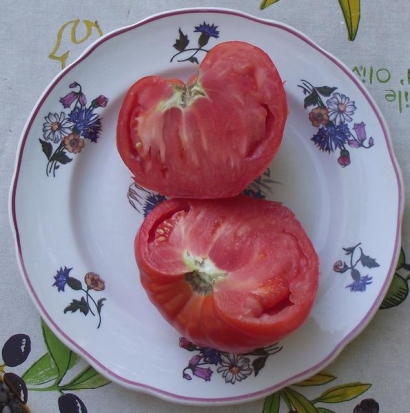 Tomate Cœur-de-Bœuf - Reif Red ©GrainesdelPaïs