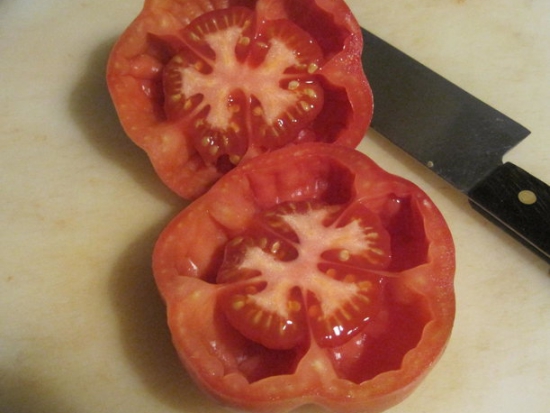 Tomate Montserrat ©GrainesdelPaïs