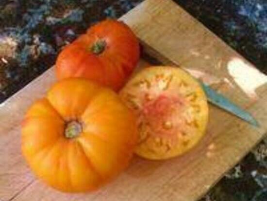 Tomate Ananas à feuilles de Pomme de terre  ©GrainesdelPaïs