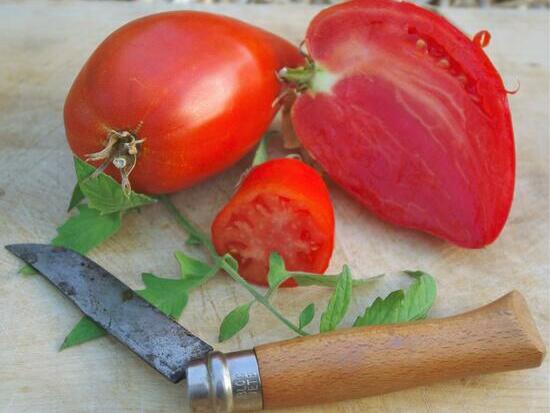 Tomate Cœur-de-Bœuf de Jérusalem ©GrainesdelPaïs