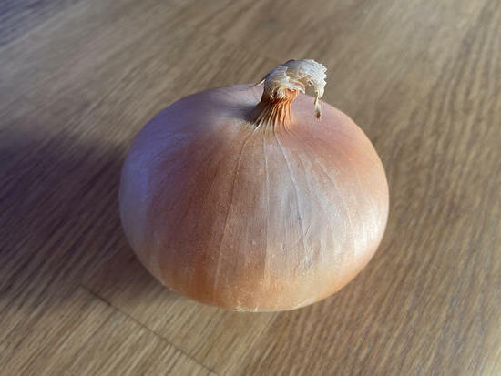 Oignon Jaune paille des vertus ©GrainesdelPaïs