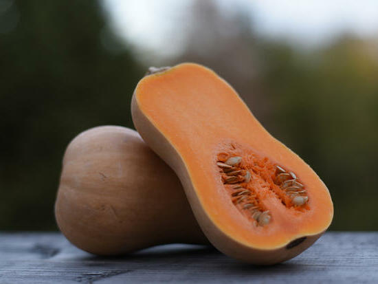 Courge Butternut ©GrainesdelPaïs ©MargauxValletPhotographie