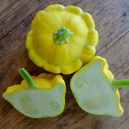 Courge Pâtisson jaune ©GrainesdelPaïs