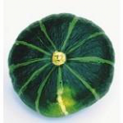 Courge Doux vert d'Hokkaïdo ©GrainesdelPaïs