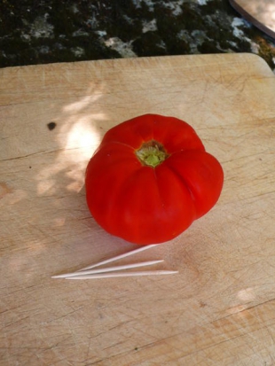 Tomate Russe ©GrainesdelPaïs