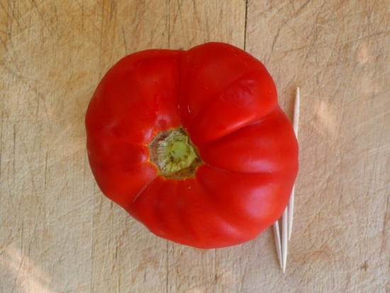Tomate Russe ©GrainesdelPaïs