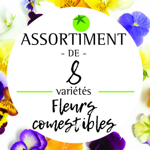 Fleurs Comestibles Séchées Banque D'Images et Photos Libres De