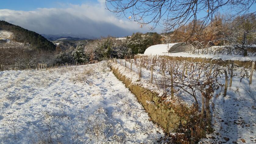 Arnaud, artisan semencier en Ardèche : la neige est plutôt rare en Ardèche méridionale, En janvier 2017, nous avons eu 2 épisodes successifs rendant nos paysages méconnaissables. ©GrainesdelPaïs