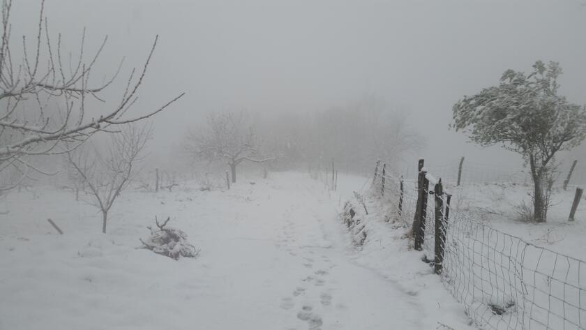 Arnaud, artisan semencier en Ardèche : la neige est plutôt rare en Ardèche méridionale, En janvier 2017, nous avons eu 2 épisodes successifs rendant nos paysages méconnaissables. ©GrainesdelPaïs